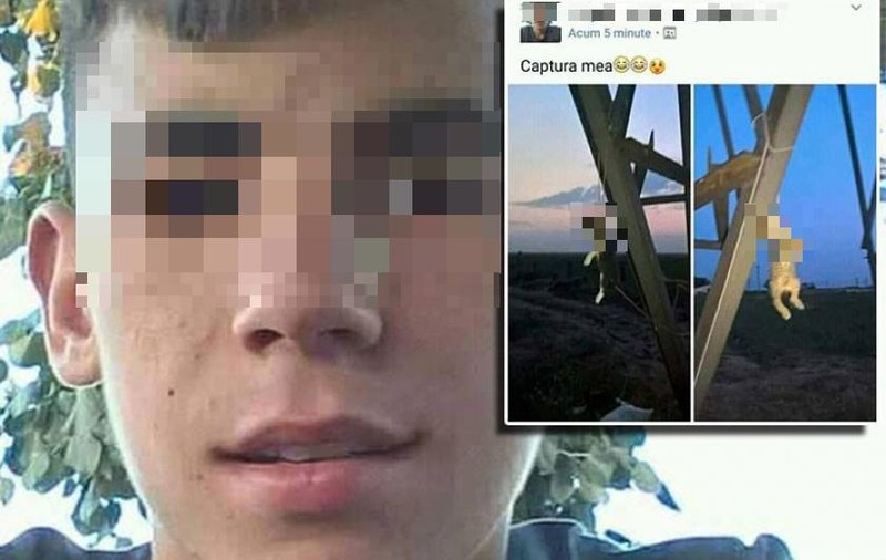 UPDATE: Dosar penal pentru copilul din Mehedinți, care a spânzurat două pisici și a postat fotografiile pe Facebook. Gestul său a stârnit revoltă pe Internet!
