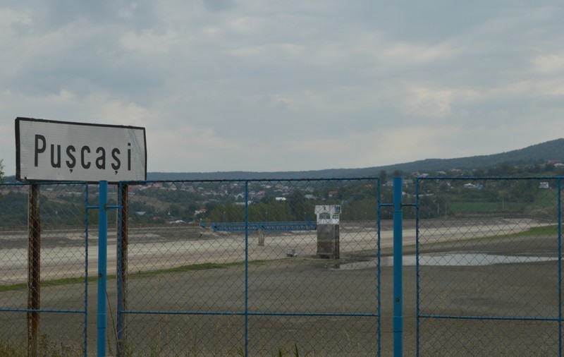 Localnicii unei comune din Vaslui, sufocați de un miros cumplit. Două tone de pește în putrefacție lângă casele lor