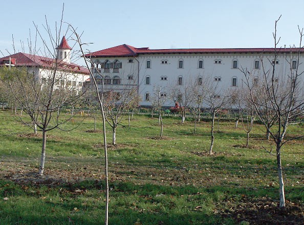 Arhiva foto