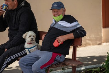 Câinii și stăpânii lor din cartierul Poștă se bucură iar de libertatea de mișcare