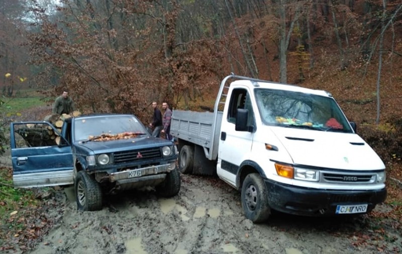 Un clujean a prins în flagrant presupuși hoți de lemne. Cum a reacționat poliția