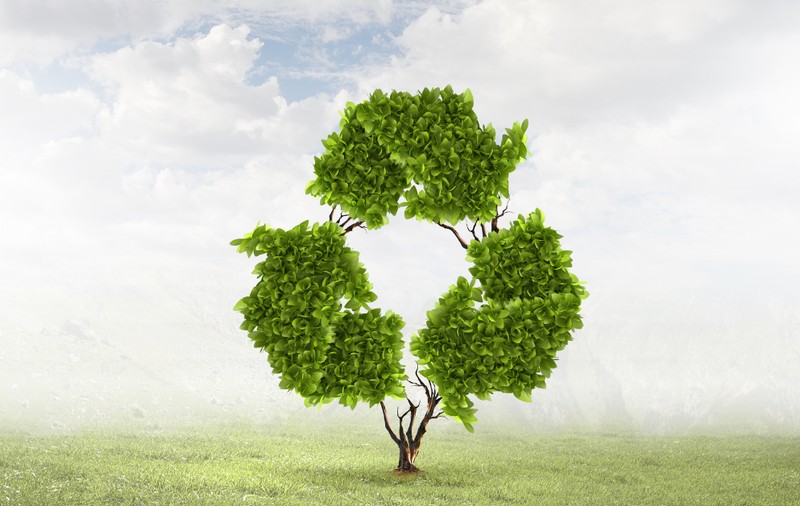De ce este important să existe organizații care facilitează colectarea și reciclarea de echipamente electrice și electronice?