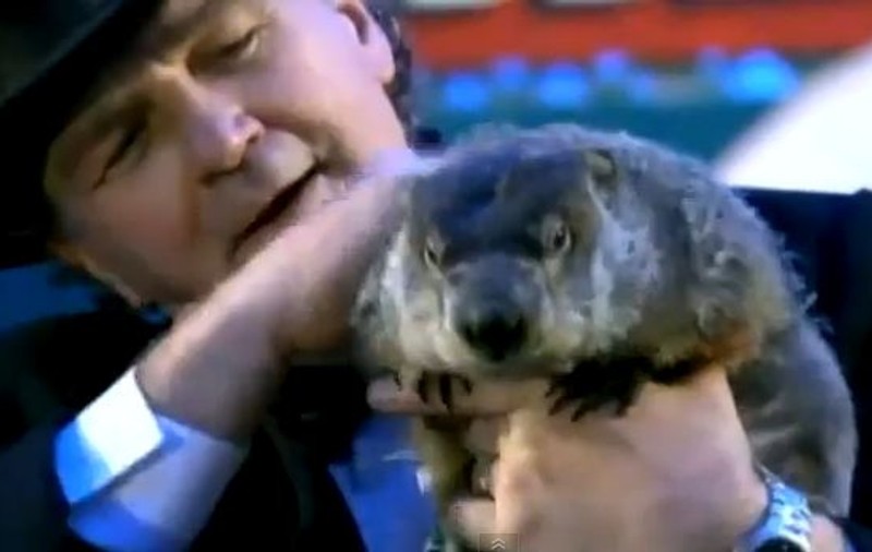 Celebra marmotă Phil anunţă o primăvară timpurie | VIDEO