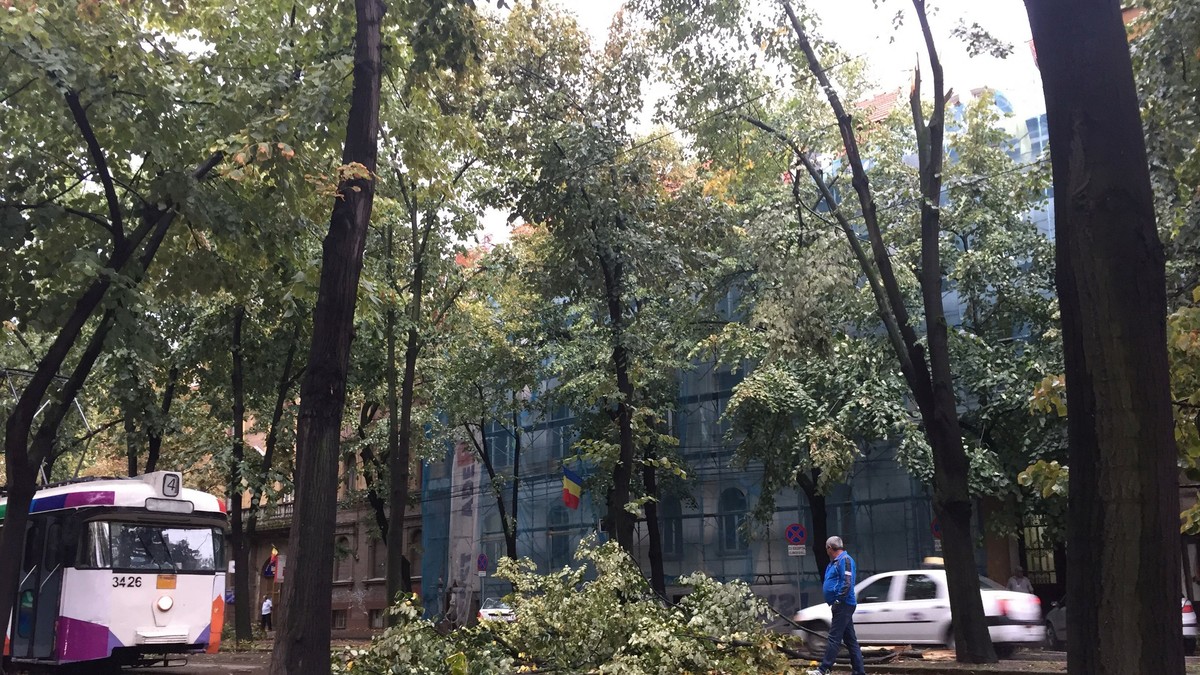 Atenționare meteo. Cod galben de vijelii în 28 de județe, de joi dimineață