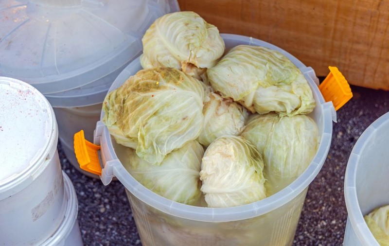 Varză murată cu apă sărată din izvoare naturale, rețeta tradițională din comuna Colți din județul Buzău