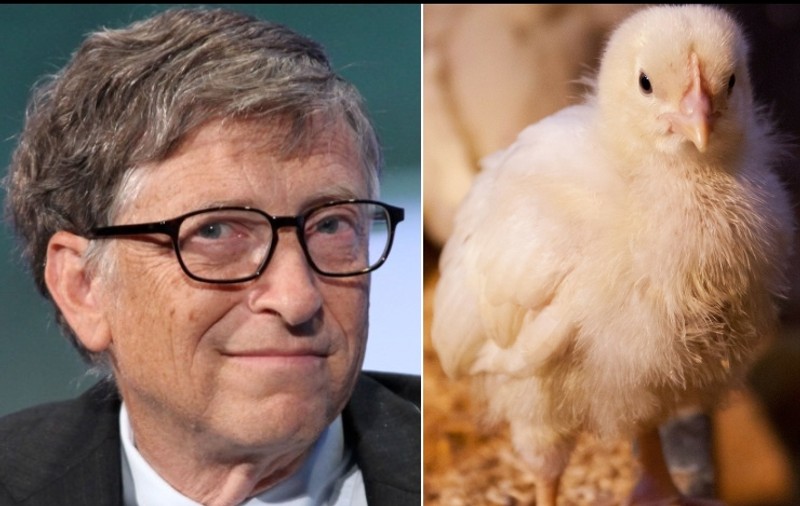 Ce ar face Bill Gates dacă ar câștiga doar doi dolari pe lună