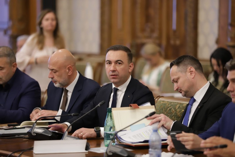 Audierea în Comisii a miniștrilor propuși, o formalitate doar, Foto: Dumitru Angelescu / Libertatea
