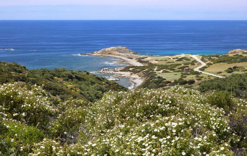 Român amendat în Italia, pentru că a furat pietricele de pe plajă din Sardinia