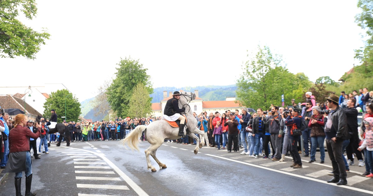 Arhiva foto