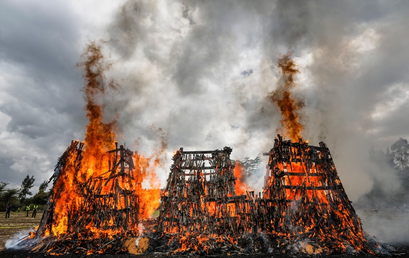 Imagini spectaculoase | Peste 5.200 de arme au fost incendiate în Kenya. Care a fost motivul