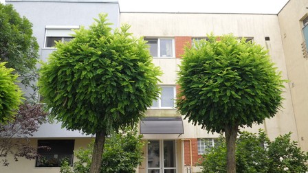 Sediul Meta Protector Ind S.R.L. se află la ultimul etaj al unui bloc luxos de lângă Pădurea Băneasa.
