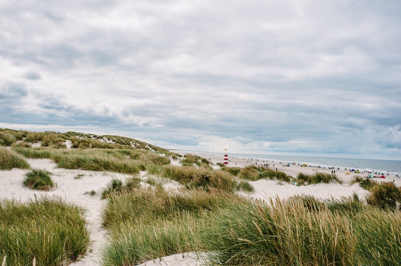 Foto: Shutterstock