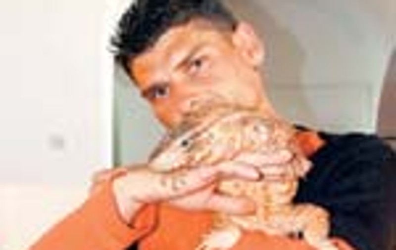 Are cele mai veninoase reptile