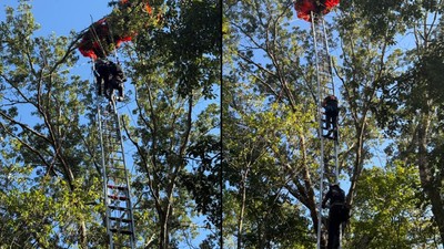 departamentul de pompieri