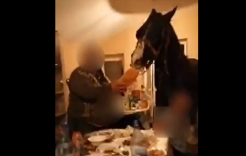 Petrecere cu calul în sufragerie, în Călărași. Decizia polițiștilor, după ce imaginile au devenit virale