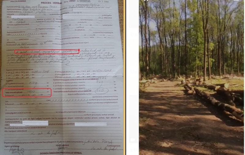 Prahovean amendat cu 1.500 de lei pentru ”apel nejustificat la 112”, după ce a sunat să ceară verificarea legalității tăierilor de copaci dintr-o pădure
