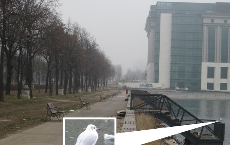 PESCĂRUŞII, primii BENEFICIARI ai unui proiect al PMB