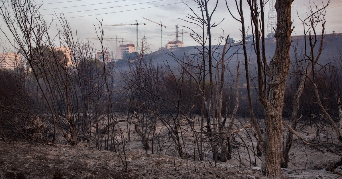 Efectele incendiului din Tres Cantos (Madrid). Pompierii continuă lupta pentru a controla complet flăcările