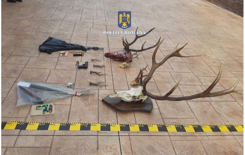 Peste cinci tone de carne de vânat și 197 de trofee, confiscate de la braconieri. 566 de persoane sunt cercetate