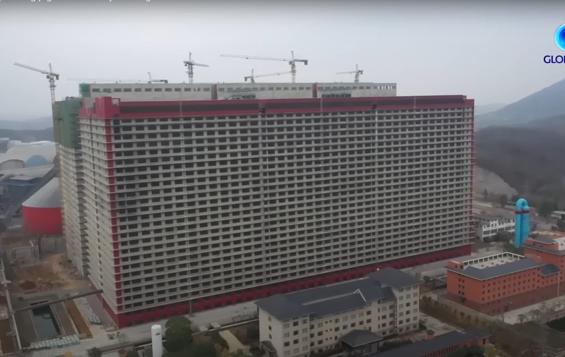 Ferme uriașe de porci, soluția Chinei pentru a crește producția de carne. Clădiri cu 26 de etaje vor găzdui 1,2 milioane de animale