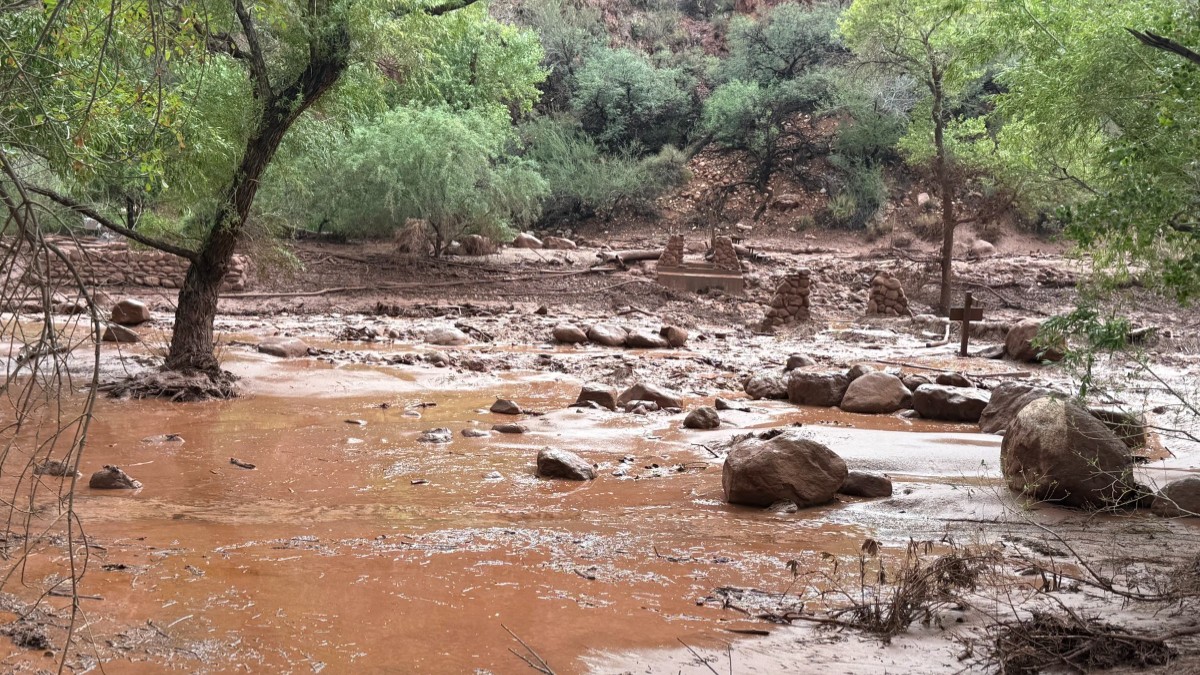 Imaginea prezintă consecințele unei viituri, cu apă maronie plină de noroi și sedimente care inundă o zonă naturală.