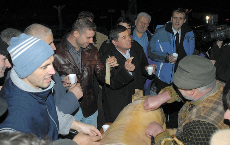 Bute a luat şoriciul de pe porc