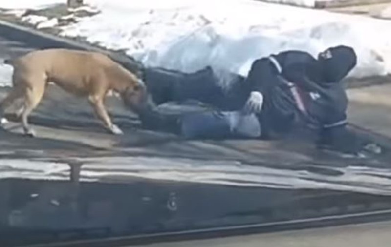 VIDEO | Un poștaș a fost atacat de un câine extrem de agresiv. Momentul terifiant a fost filmat