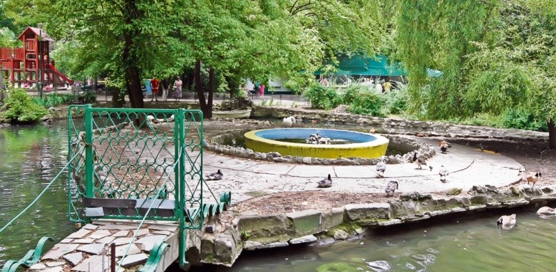 Arhiva foto