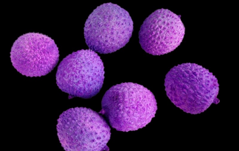 EPIDEMIE DE HOLERĂ! Cel puţin 2.000 de oameni S-AU ÎMBOLNĂVIT
