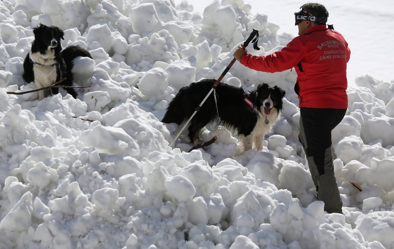 REPORTAJ/Povestea câinilor de avalanșă Helios și Dara sau încrederea de nezdruncinat dintre om şi animal: "Unde merg eu, merg şi ei"/ FOTO