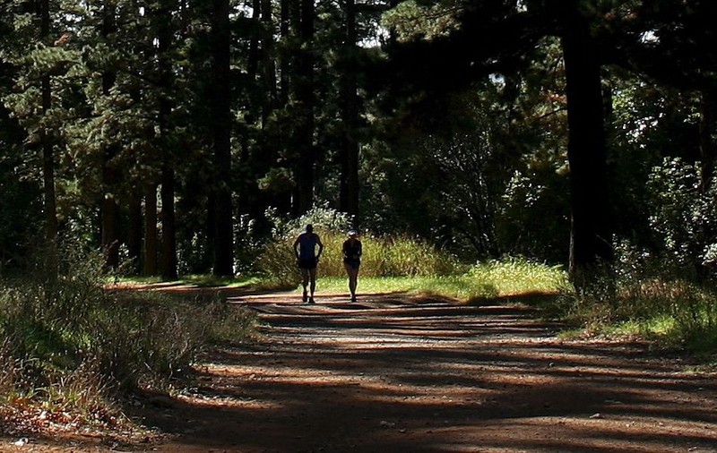 5 minute de sport în natură pentru o minte sănătoasă