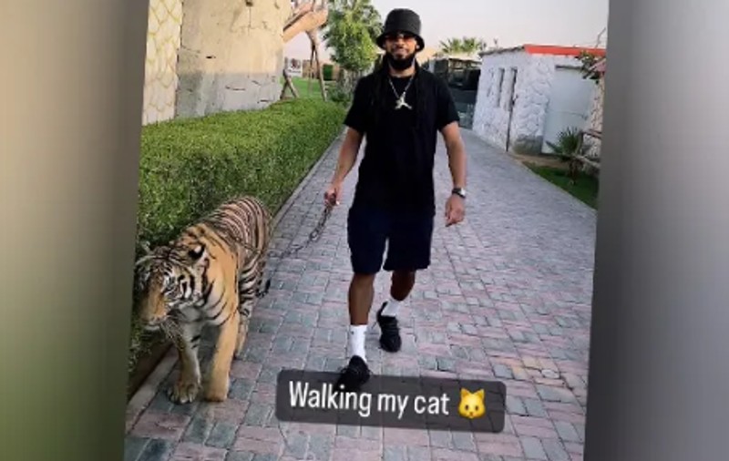 Fotbalistul belgian Jason Denayer, campion cu Al-Ahli, a plimbat un tigru prin Dubai. Ce amendă riscă