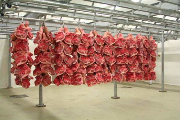 Carne de vită de la animale cu tuberculoză, vândută în Franța