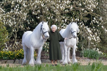Portretul reginei Elisabeta a II-a publicat de Royal Windsor Horse Show / foto Profimedia