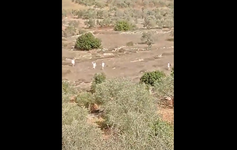 Un palestinian, împușcat mortal de către un colonist, cu o puşcă de asalt, în timp ce culegea măsline în Cisiordania, spun autoritățile palestiniene | VIDEO