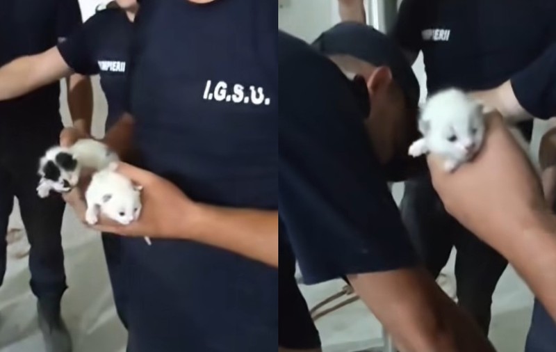 Două ghemotoace pufoase care încăpeau perfect în buzunarul uniformei au fost salvate de pompieri în Broșteni | VIDEO