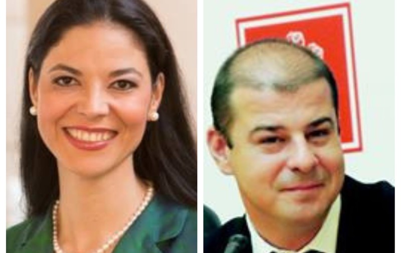 Ana Birchall și Adrian Dobre, noi nume în Guvernul Dăncilă; Bodog și-ar putea păstra mandatul la Sănătate - surse