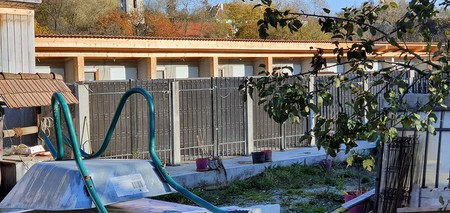 Padocurile unde sunt ținuți câinii