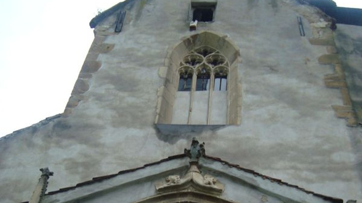 Arhiva foto