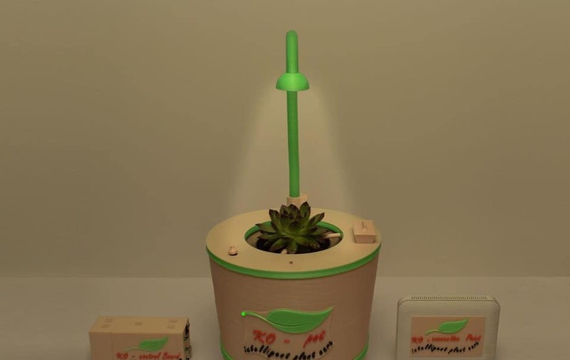 Un elev din Cluj a inventat ghiveciul inteligent. Are grijă de plante până la un an de zile