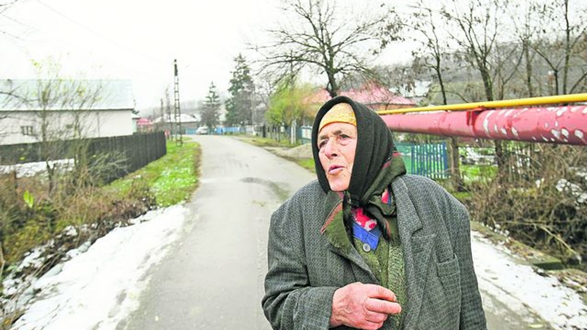 Arhiva foto