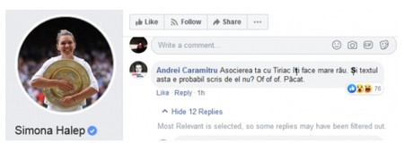 Mesajul lui Andrei Caramitru