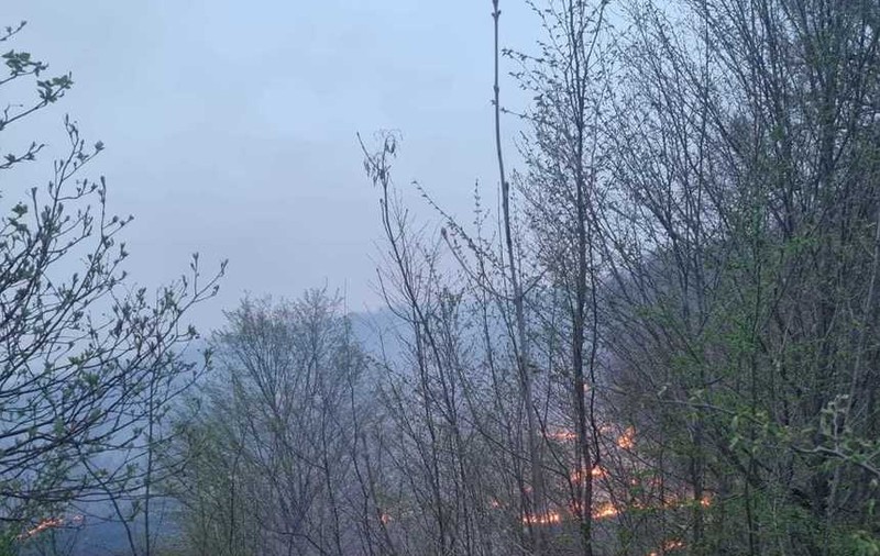Incendiu de vegetație pe 50 de hectare, în comuna Șoimari din Prahova. Vântul îngreunează misiunea pompierilor