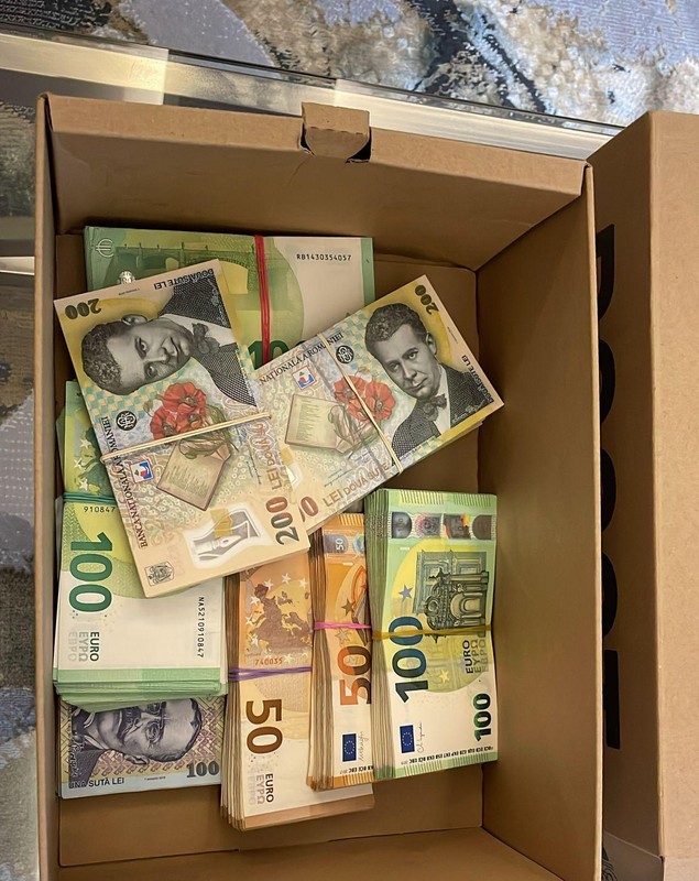 Șeful ARR, Cristian Anton, ținea acasă cutii pline cu bani. DNA a numărat sute de mii de euro în vila fostului șef de cabinet al lui Grindeanu