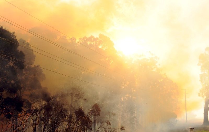 Aproape 30 de morţi în Australia, din cauza caniculei