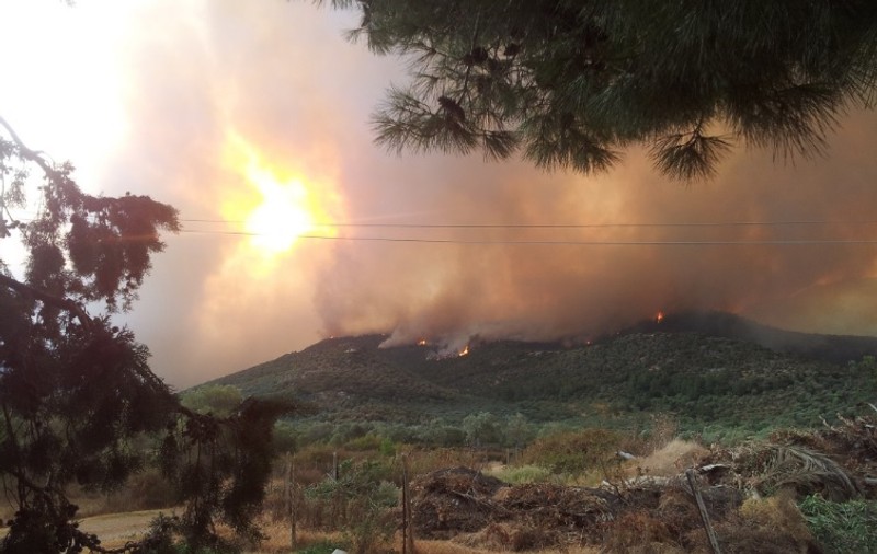 Incendii Grecia | Stare de urgență în insula Thassos. Avertismentul MAE
