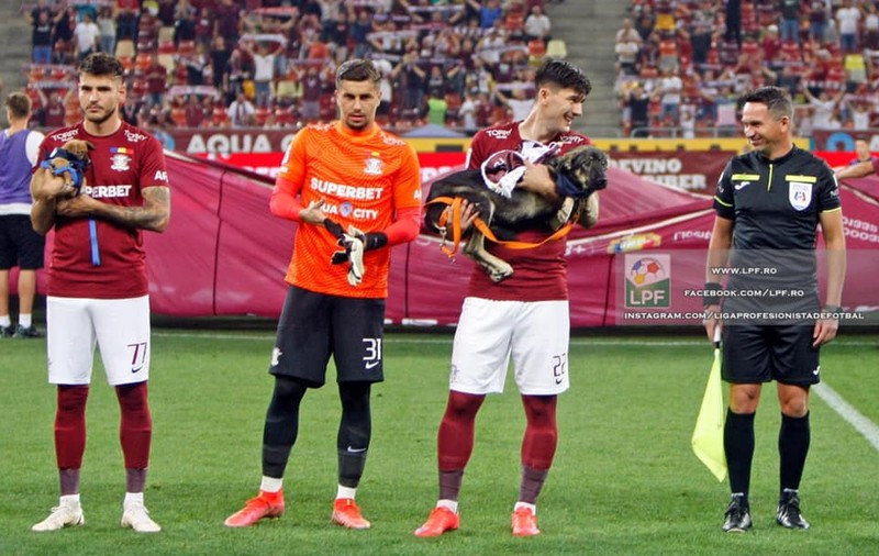 "Locul animalelor nu e în adăposturi". Cine este tânăra care a dus câini la meciurile de fotbal din România pentru a fi adoptați