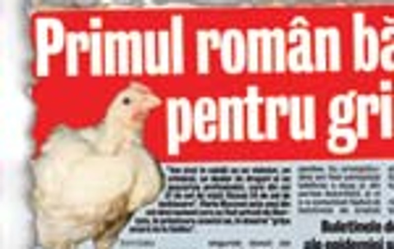 Remes: 'Nu exista dovada gripei aviare'