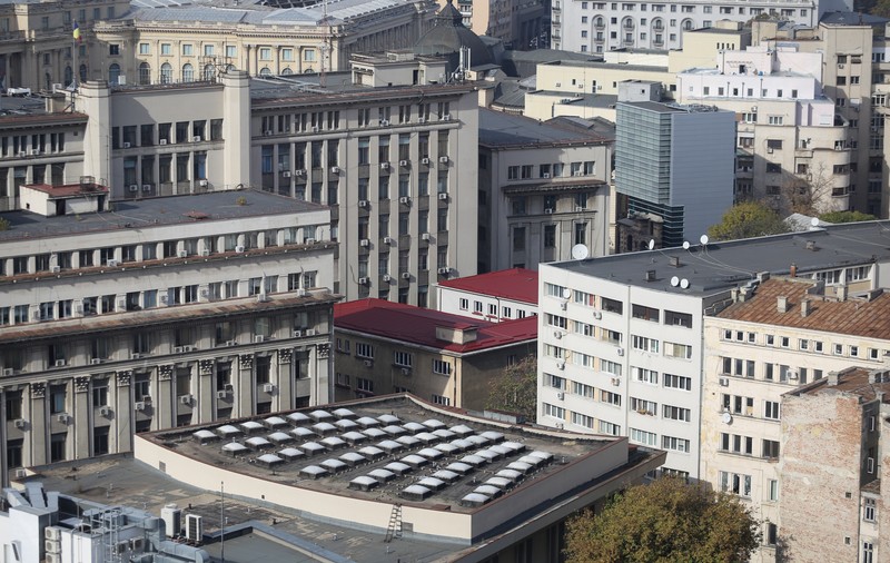 ORAȘELE BETONATE. În București, un copac valorează cât o șaorma. Ce au promis și ce au făcut primăriile pentru a crește suprafața de spații verzi