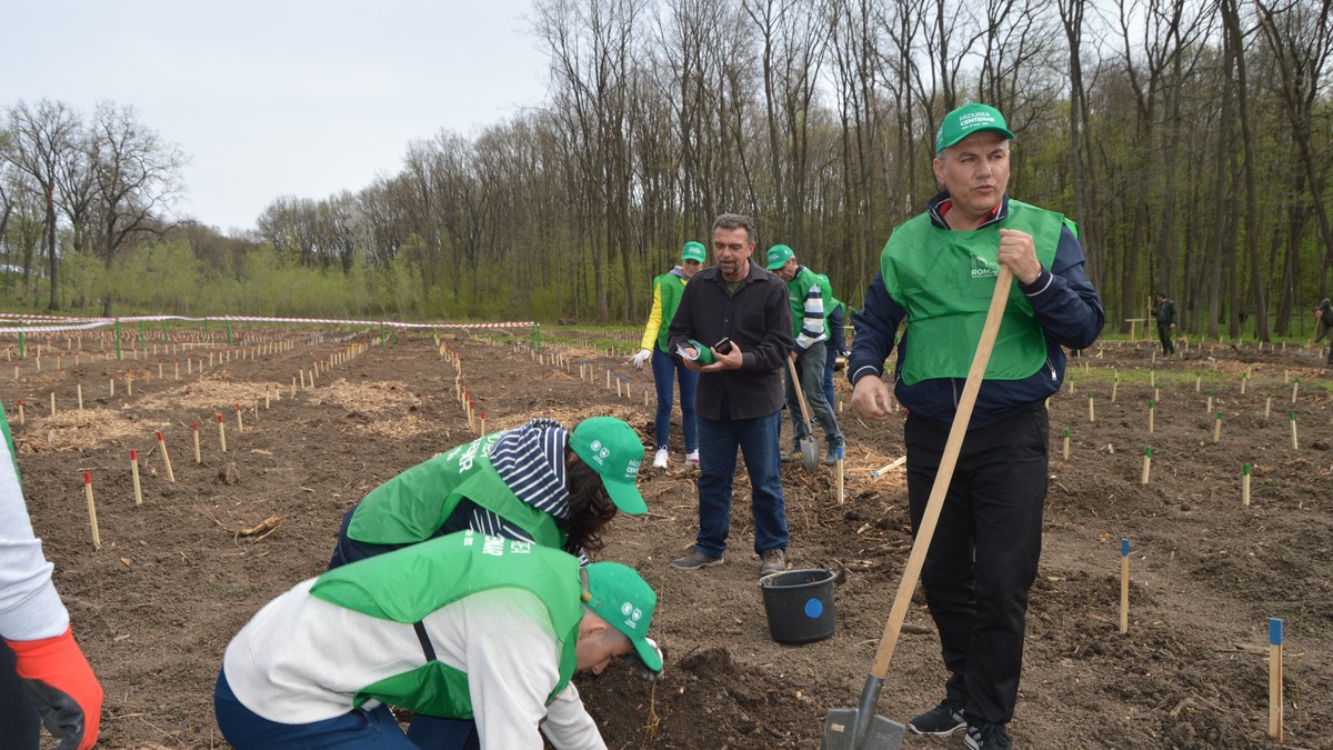 Ministrul Pădurilor: ”În ultimii 30 de ani, fondul forestier a crescut cu 260.000 de hectare”